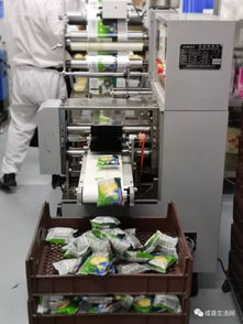 探訪家鄉味道 隴南生活網團隊觀摩成縣優點食品廠側記